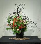 02 - Mitsugi Kikutchi -- Canadian Museum of Nature.jpg 5.2K